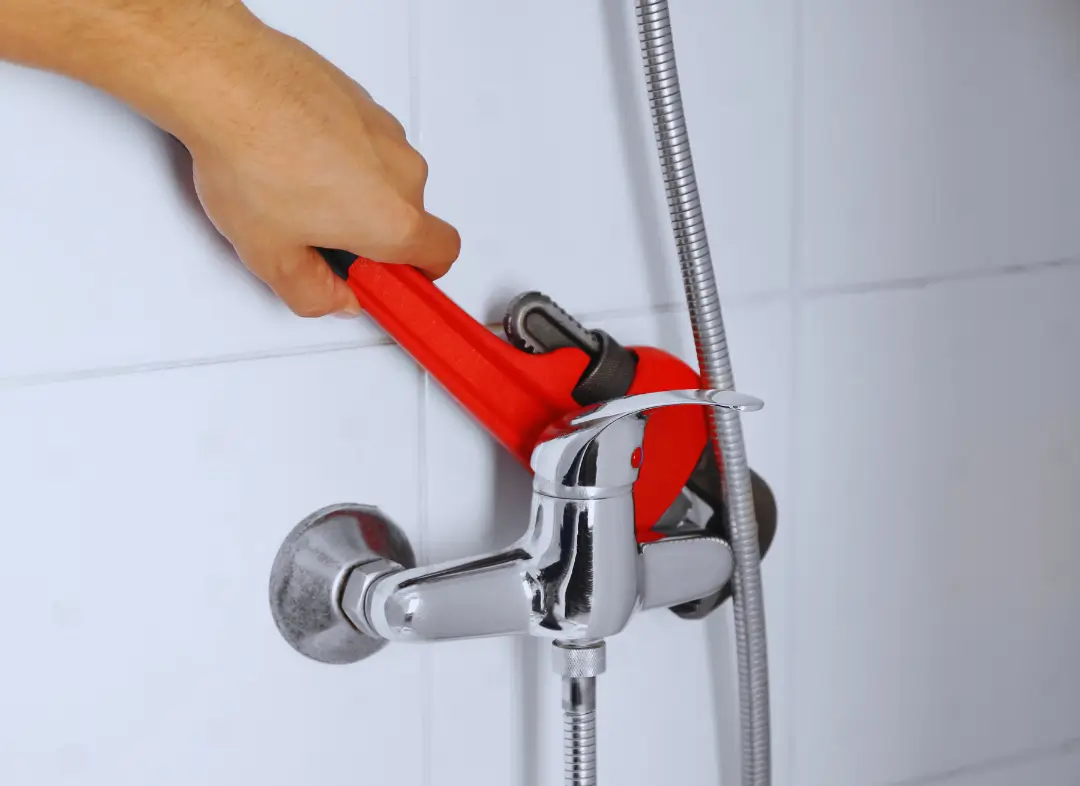 Mitigeur Thermostatique douche Frouzins